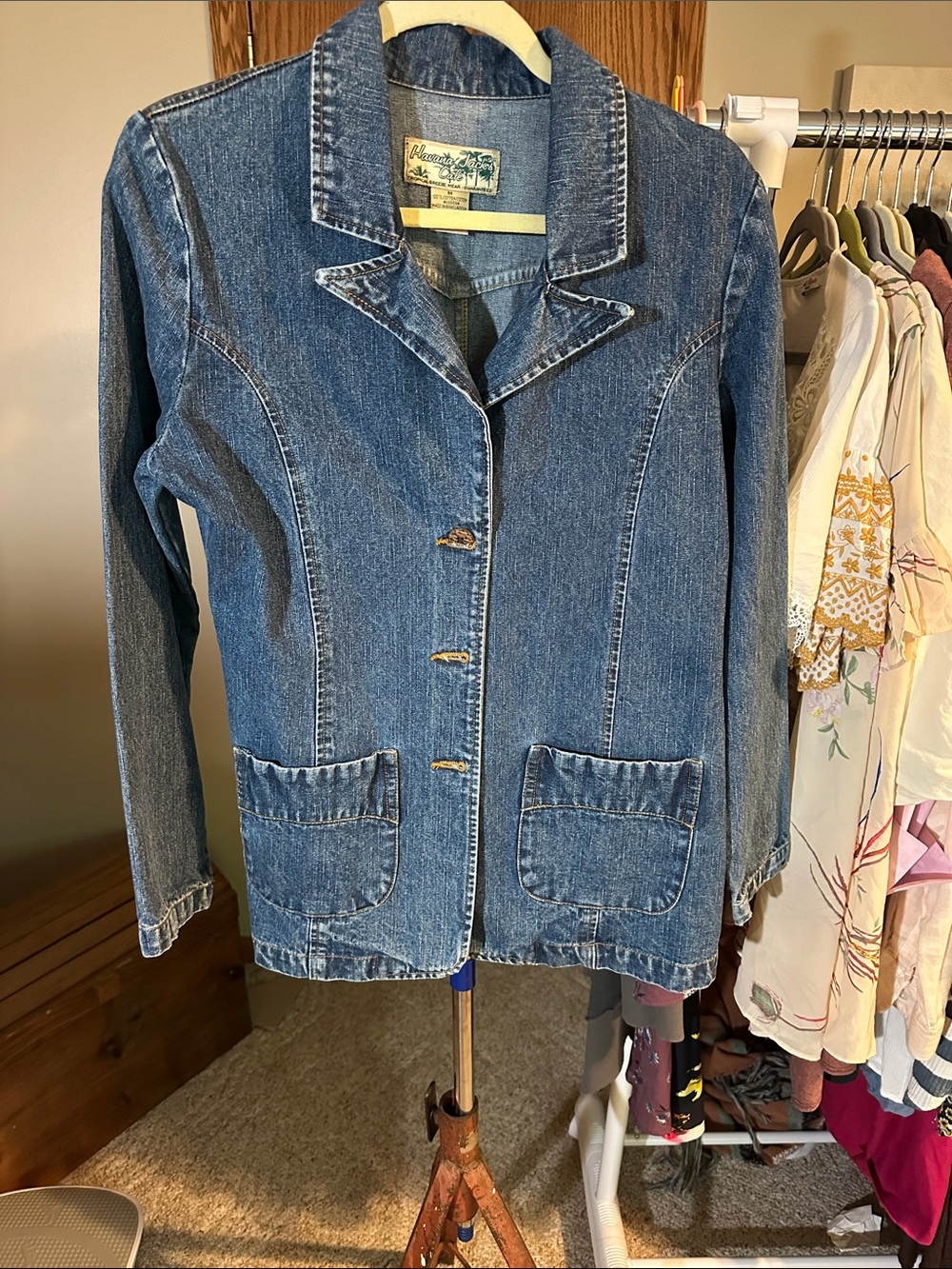 Denim Button-Front Jacket - Blue